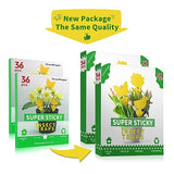 72 Pcs Sticky Traps for Fruit Fly, Whitefly, Fungus Gnat, Mosquito and Bug, Yellow Sticky Insect Catcher Traps for Indoor/Outdoor/Kitchen, Extremely Sticky Fly Trap, Non-Toxic