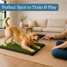 Load image into Gallery viewer, Artificial Grass Puppy Pee Pad for Dogs and Small Pets - 20x30 Inch, Reusable 3-Layer Turf Pads for Dogs with Tray - Indoor and Outdoor Fake Grass Potty Pet Supplies by PETMAKER
