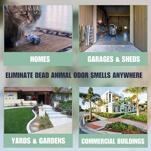 SMELLEZE Dead Animal Odor Eliminator for Strong Odor Removal - Eliminate Dead Rodent & Wildlife Smell - Safe Indoor & Outdoor Use, Natural Odor Remover, Fresh & Effective - 1 Pouch.