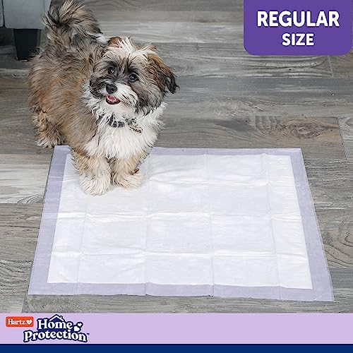 Hartz Home Protection Lavender Scented Dog Pads, 50 count, Super Absorbent & Won't Leak, Odor Eliminating