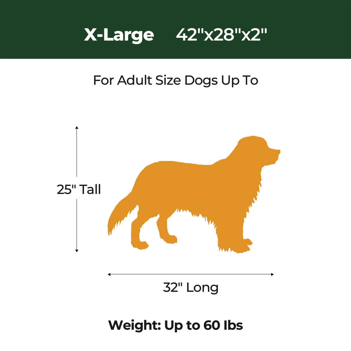 BALANCE Dog Crate Bed, Orthopedic Dog Bed Pad with Waterproof Liner, Washable Crate Foam Pet Mat for Large, Medium, Puppy Dogs Breeds, Mint Leaf, 42"x28"x2"