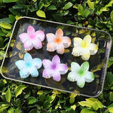 Hawaiian Plumeria Hair Accessories - 6 Pack Large Claw Clips for Thick and Thin Hair, Beach Tropical Hair Clips for Women and Girls