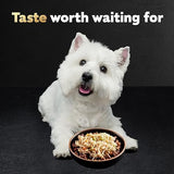 CESAR WHOLESOME BOWLS Adult Soft Wet Dog Food Chicken, Apple & Sweet Potato Recipe, (10) 3 oz. Bowls