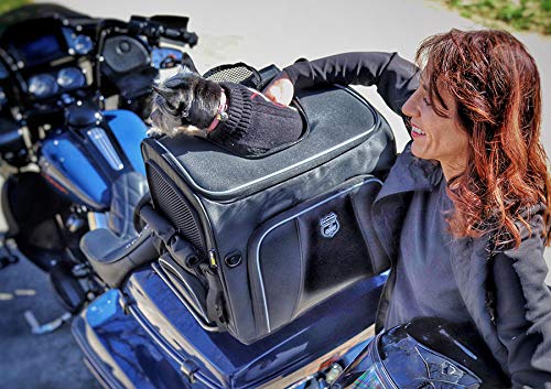 Nelson-Rigg Route 1 Rover Pet Carrier: Weather Resistant, Portable, and Secure Motorcycle pet Carrier/Crate; Fits Harley Davidson, Indian, Yamaha & Suzuki Motorcycles