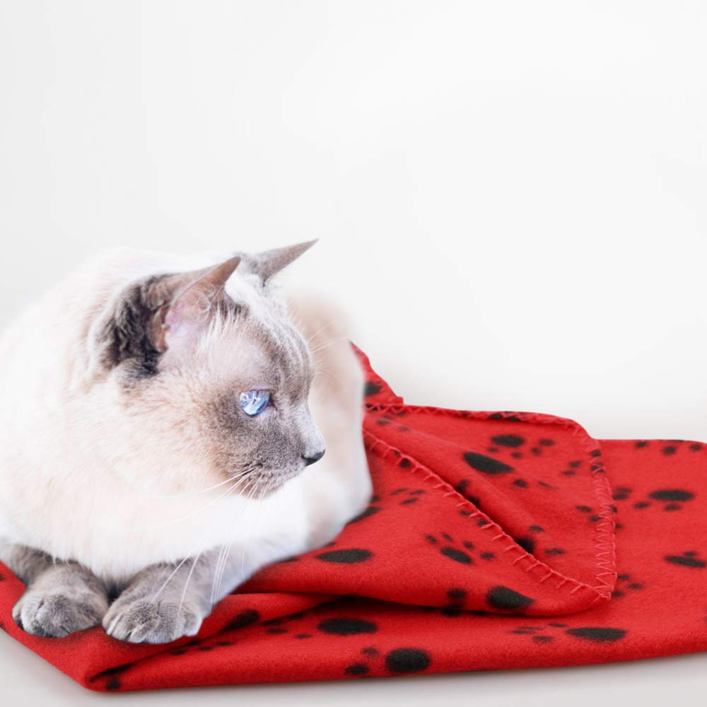 Comsmart Dog Blankets for Small Dogs, 6 Pack Puppy Blanket Cute Paw Print Pet Blanket for Dog, Puppy, Cat, Kitten, 24x28 inches, Red