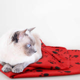 Comsmart Dog Blankets for Small Dogs, 6 Pack Puppy Blanket Cute Paw Print Pet Blanket for Dog, Puppy, Cat, Kitten, 24x28 inches, Red