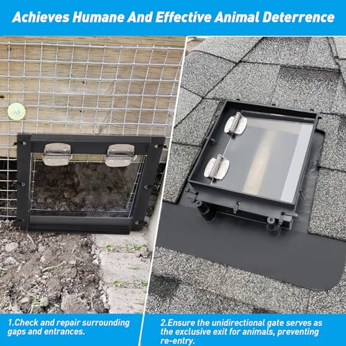 Raccoon One Way Eviction Door - Safe Eviction Raccoon Trap - Ideal for Attics, Under Decks, and Chimneys - DIY Installation - Humane Solution to Raccoon Intrusions