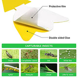 72 Pcs Sticky Traps for Fruit Fly, Whitefly, Fungus Gnat, Mosquito and Bug, Yellow Sticky Insect Catcher Traps for Indoor/Outdoor/Kitchen, Extremely Sticky Fly Trap, Non-Toxic