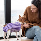Dog Recovery Suit, Surgical Recovery Suit for Male Female Dogs Cats Spayed Onesie After Surgery, Dog Post Surgery Suit Anti Licking & Biting Surgical Shirt with Pee Hole，Purple Large