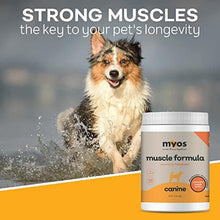 Load image into Gallery viewer, MYOS Canine Muscle Formula - All-Natural Muscle Building Supplement - Helps Reduce Muscle Loss in Dogs Due to Normal Aging and Improves Recovery from Injury or Surgery
