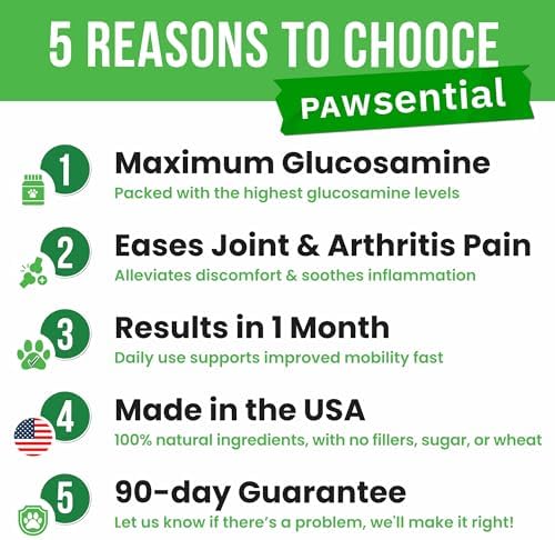 Glucosamine for Dogs - Joints Health Treats w/Omega Fish Oil - Natural Joint Pain Relief - Canine Hip and Joint Supplement w/Chondroitin + MSM + Turmeric + Calcium - 240 Beef Chews