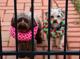 New Comic Puppy Bumper- up to 10"