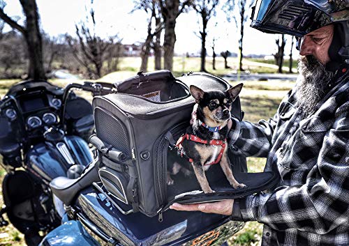 Nelson-Rigg Route 1 Rover Pet Carrier: Weather Resistant, Portable, and Secure Motorcycle pet Carrier/Crate; Fits Harley Davidson, Indian, Yamaha & Suzuki Motorcycles