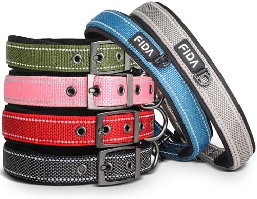 Fida Heavy Duty Dog Collar, Ultra Comfortable Soft Neoprene Padded, Adjustable Reflective Nylon Pet Collar with Durable Metal Belt Buckle for Small Breeds (S, Green)