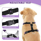 Lukovee Dog Safety Vest Harness with Seatbelt, Seat Belt Adjustable Pet Harnesses Double Breathable Mesh Fabric with Car Vehicle Connector Strap for Dog (Medium, Purple)