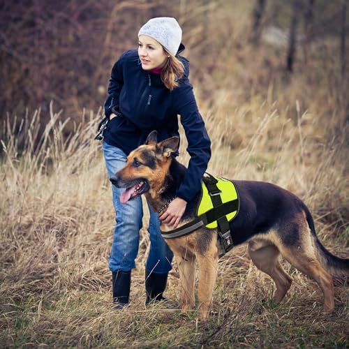 Dogline Dog Harness, Reflective No-Pull Adjustable Vest with Handle, Breathable No-Choke Harness for Small, Medium or Large Dogs Room for Patches Girth 15 to 18 in Lime Green