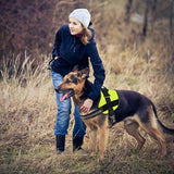 Dogline Dog Harness, Reflective No-Pull Adjustable Vest with Handle, Breathable No-Choke Harness for Small, Medium or Large Dogs Room for Patches Girth 15 to 18 in Lime Green