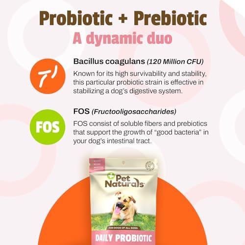 Pet Naturals Daily Probiotic for Dogs, Duck Flavor, 160 Chews - 120M CFUs Pre and Probiotics for Dogs Digestive Health, Gut Health, Immune Support, Diarrhea, Allergies and Itching