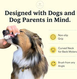Jasper Macrobrush 360º, Dog Toothbrush for Medium to Large Dogs, Soft-Bristled Dog Tooth Brushing Kit - Premium Non-Slip Handle with 2 Replaceable Tooth Brush Heads, Use with Pet Toothpaste