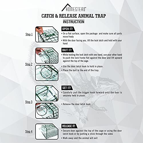 HOMESTEAD 2-Pack Live Animal Trap - Specialized for Raccoons, Opossums, Groundhogs, Skunks, Feral Cats, Squirrels - Heavy Duty Steel Traps, 1-Door, Green, Humane Catch & Release Animal Trap,89-302