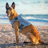 rabbitgoo Tactical Dog Harness for Large, Heavy Duty Pet Harness with Handle, No-Pull Service Vest Large Breed, Adjustable Military Dog Vest for Training Hunting Walking, Blue, XL