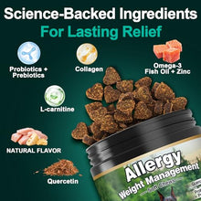 Load image into Gallery viewer, Dog Allergy Relief Chews Itching Skin is Human Multivitamin Pet Allergy Anti Itch Paw Relief and Immune Dog Chews Bites Antihistamine for Dogs Itching and Licking Weight Loss Management Support 200
