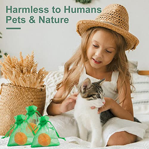 10 Pack Natural Cat Repellent Outdoor Indoor, Peppermint Oil Cat Deterrent Outdoor Repels Cat Dog Deer Rabbit from Garden Yard Lawn Home Keep Your Yard Lawn Porch Furniture Curtain from Cat Damages