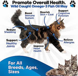 Omega 3 Fish Oil for Cats - Better Than Salmon Oil - Kitten & Cat Vitamins and Supplements - Cat Dandruff Treatment - Liquid Fish Oil for Pets - Shedding Support - Cat Health Supplies for All Ages