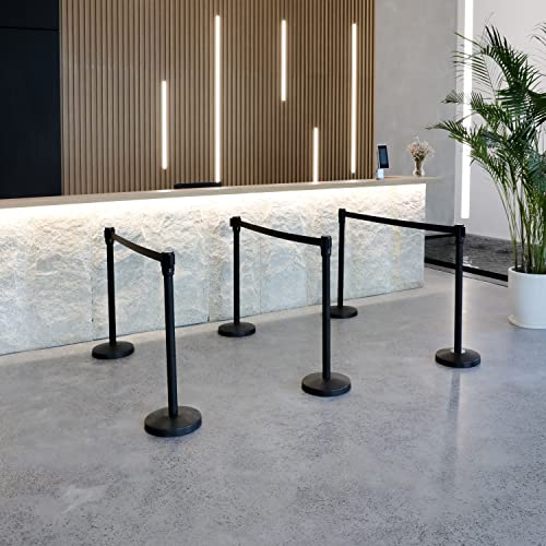 Amazon Basics Premium Crowd Control Stanchions with Easy Assembly, 6.5 foot Sturdy Retractable Belts - Pack of 2, Black