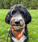 Orange/Green Tartan Plaid Accessory, Plaid Fall Dog Bandana (Large, Orange/Green Plaid)