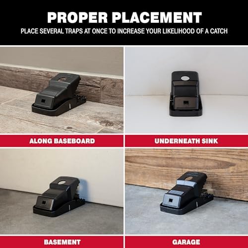 Catchmaster Jumbo Snapper Mouse Traps 6-Pk, Mouse Traps Indoor for Home, Reusable Rodent Killer for House, Outdoor Critter Catcher, Eco Friendly Pest Control for Garage, Basement, & Kitchen