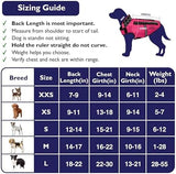 CoyoteVest SpikeVest Dog Harness Vest for Small Dogs, Reflective Dog Vest with Spikes to Shield Your pet from Coyotes, Raptor and Animal Attacks, Anti Hawk Vest, Made in USA (L-Pink)