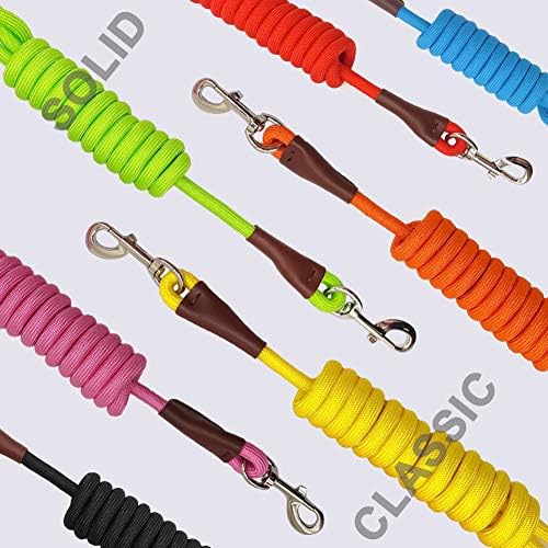 MayPaw 4/6 /8/10 FT Dog Leash, Classic Solid Colors, Strong Nylon Rope Dog Leash Reinforced with Leather Tailor Connection Heavy Duty Silver Clasp