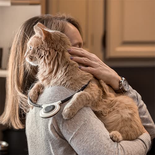 Assisi Loop 2.0 Manual tPEMF Device for Dogs, Cats, and Horses (20 cm)