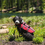 ZippyPaws Adventure Dog Life Jacket - Dog Life Vest for Swimming & Boating, Fits Small Pets, Lightweight Flotation Device for Water Safety, Padded Handle, Adjustable Fit, 6-10" - XX-Small, Red