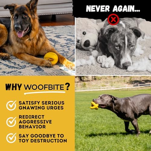 Indestructible Ring Ball - Lifetime Replacement - Strong, Tough, Aggressive Chewers, Medium Large Breed - Non-Toxic Natural Rubber Dog Toys - Yellow - Tug & Fetch - 8x1.75