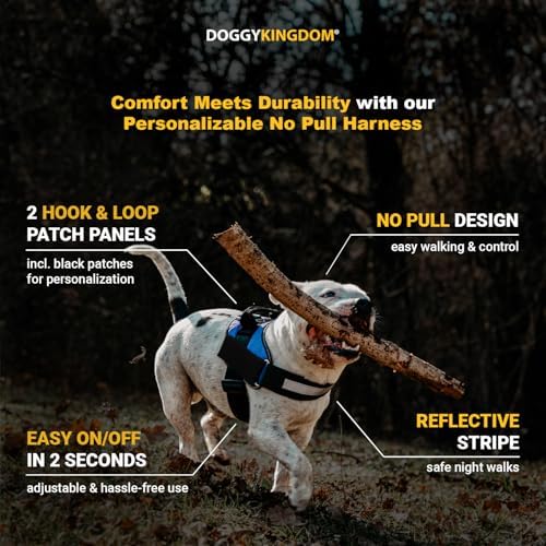 Non Pull Dog Harness with Patch Panels and Handle, Adjustable, Reflective, No Choke, Heavy Duty Easy On Service Dog Vest Harnesses for Medium Large Small Sized Dogs - Military Desert, XS