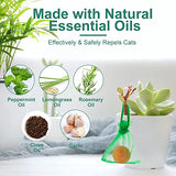 10 Pack Natural Cat Repellent Outdoor Indoor, Peppermint Oil Cat Deterrent Outdoor Repels Cat Dog Deer Rabbit from Garden Yard Lawn Home Keep Your Yard Lawn Porch Furniture Curtain from Cat Damages