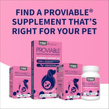 Nutramax Proviable Probiotics for Dogs and Cats, Daily Digestive Health Supplement with Multiple Strains of Bacteria, Cat and Dog Probiotics Plus Prebiotics, 30 Capsules