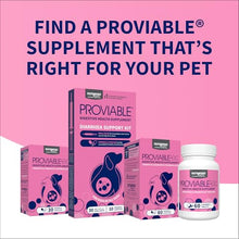 Load image into Gallery viewer, Nutramax Proviable Probiotics for Dogs and Cats, Daily Digestive Health Supplement with Multiple Strains of Bacteria, Cat and Dog Probiotics Plus Prebiotics, 80 Capsules
