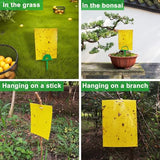 60 Sheets Sticky Fly Traps, Dual-Sided, for Flying Insect, Indoor and Outdoor, 8x6 Inch, Yellow