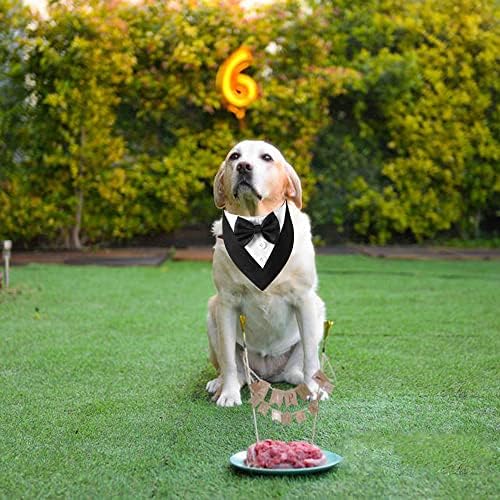 ADOGGYGO Formal Dog Tuxedo, Wedding Dog Bandana Collar with Bowtie, Adjustable Puppy Birthday Wedding Tux Outfit for Small Dogs Pets (S, Black)