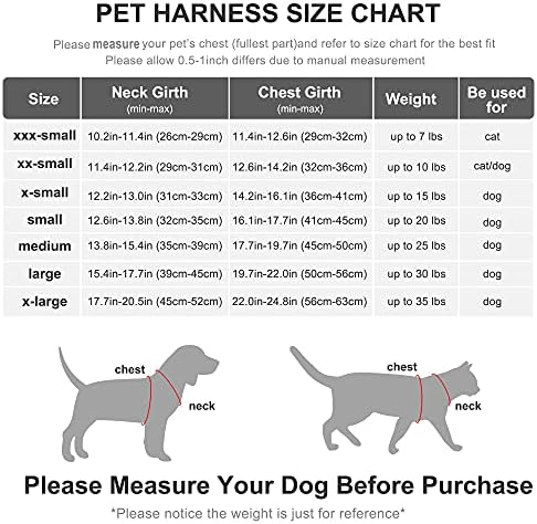 Fida Comfy Dog Harness with Leash, Soft Puppy Vest Escape Proof, Breathable Lightweight Soft Mesh, Adjustable Reflective Step-in Harness for Cat & Extra-Small Pet (XS, Grey)
