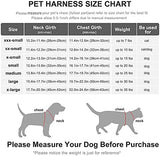 Fida Comfy Dog Harness with Leash, Soft Puppy Vest Escape Proof, Breathable Lightweight Soft Mesh, Adjustable Reflective Step-in Harness for Cat & Extra-Small Pet (XS, Grey)