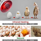 Heat Lamp for Chickens Coop Brooder and Reptile Heat Bulb 150 Watt Infrared Red Light