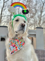 Midlee St. Patrick's Rainbow Pot of Gold Dog Headband Costume