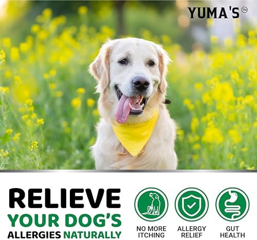 YUMA'S Dog Allergy Relief Chews - Dog Itching Skin Relief Treatment Pills - 170 Treats - Anti-Itch Chewables - Itchy and Paw Licking - Hot Spots - Omega 3 Fish Oil - Dry Skin & Coat Supplement