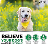 YUMA'S Dog Allergy Relief Chews - Dog Itching Skin Relief Treatment Pills - 170 Treats - Anti-Itch Chewables - Itchy and Paw Licking - Hot Spots - Omega 3 Fish Oil - Dry Skin & Coat Supplement