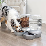 Petmate Replendish Automatic Gravity Waterer for Cats and Dogs, BPA-Free, No Batteries Required, Includes Charcoal Filter, 4 Gallons, Made in USA,Blue