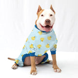 LovinPet Big Dog Wound Care/Surgery Recovery Shirt, Pet Anxiety Shirt, Lightweight Stretchy Knit Fabric, Rubber Ducks with Hats Blue Print Dog Pjs, Dog Pajamas, Pet PJ's/XL